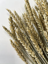 Load image into Gallery viewer, Dried Wheat