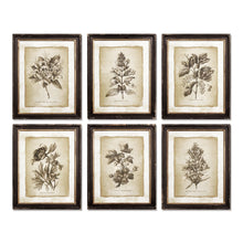Load image into Gallery viewer, Framed Vintage Floral Prints, Set of 6