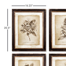 Load image into Gallery viewer, Framed Vintage Floral Prints, Set of 6