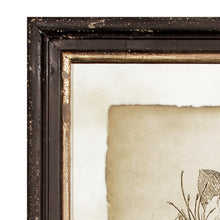 Load image into Gallery viewer, Framed Vintage Floral Prints, Set of 6