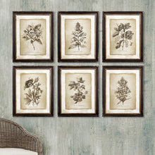 Load image into Gallery viewer, Framed Vintage Floral Prints, Set of 6