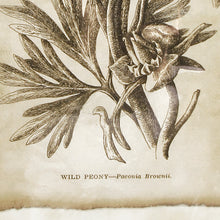 Load image into Gallery viewer, Framed Vintage Floral Prints, Set of 6