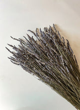 Load image into Gallery viewer, Dried Lavender - French