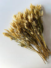 Load image into Gallery viewer, Dried Celosia White Spike