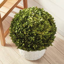 Load image into Gallery viewer, BOXWOOD BALL 16"