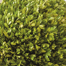 Load image into Gallery viewer, BOXWOOD BALL 16"