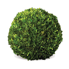 Load image into Gallery viewer, BOXWOOD BALL 16"