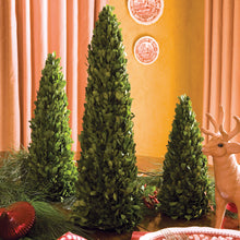 Load image into Gallery viewer, BOXWOOD MINI TREES, SET OF 3