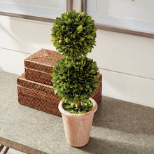 Load image into Gallery viewer, BOXWOOD DOUBLE SPHERE TOPIARY 20"