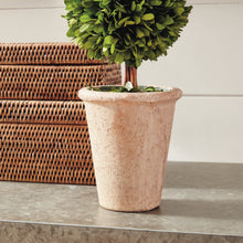 Load image into Gallery viewer, BOXWOOD DOUBLE SPHERE TOPIARY 20"
