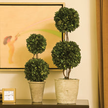 Load image into Gallery viewer, BOXWOOD DOUBLE SPHERE TOPIARY 28"
