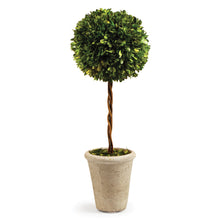 Load image into Gallery viewer, BOXWOOD SINGLE SPHERE TOPIARY 23.25"