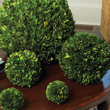 Load image into Gallery viewer, BOXWOOD BALL 12"