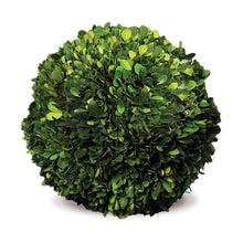 Load image into Gallery viewer, BOXWOOD BALL 12"