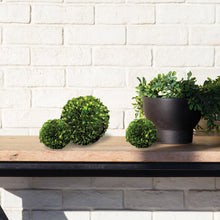 Load image into Gallery viewer, BOXWOOD BALL 8"