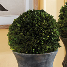 Load image into Gallery viewer, BOXWOOD BALL 8"
