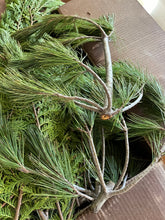 Load image into Gallery viewer, Mixed Fresh Holiday Greens 30 pounds