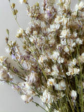 Load image into Gallery viewer, Dried Larkspur Smokey Eyes