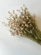 Load image into Gallery viewer, Dried Larkspur Smokey Eyes