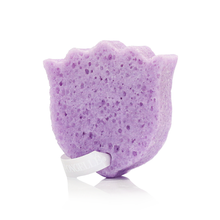 Load image into Gallery viewer, Provence Violette | Les Fleurs Body Buffer