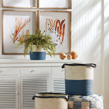 Load image into Gallery viewer, BOSTON FERN DROP-IN 16"