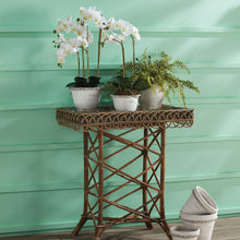 Load image into Gallery viewer, BOSTON FERN DROP-IN 16"