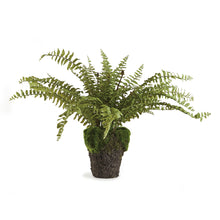 Load image into Gallery viewer, BOSTON FERN DROP-IN 16"