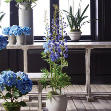 Load image into Gallery viewer, DELPHINIUM DROP-IN 53"