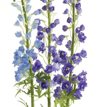Load image into Gallery viewer, DELPHINIUM DROP-IN 53"
