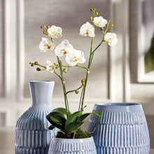Load image into Gallery viewer, PHALAENOPSIS X 2 DROP-IN 23"