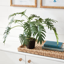 Load image into Gallery viewer, SPLIT LEAF SELLOUM DROP-IN 22.5"