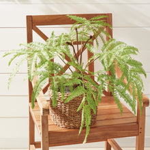 Load image into Gallery viewer, FOREST FERN DROP-IN 29.5"