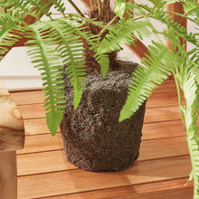 Load image into Gallery viewer, FOREST FERN DROP-IN 29.5"