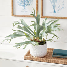 Load image into Gallery viewer, Staghorn Fern Drop-In 21"