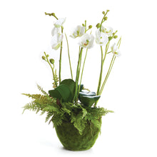 Load image into Gallery viewer, PHALAENOPSIS & FERN DROP-IN 18"