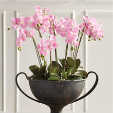 Load image into Gallery viewer, PHALAENOPSIS ORCHID DROP-IN 30"