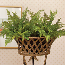 Load image into Gallery viewer, SOFT FERN DROP-IN 10.5"