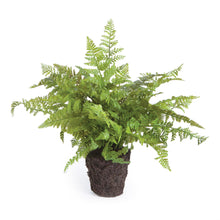 Load image into Gallery viewer, SOFT FERN DROP-IN 10.5"