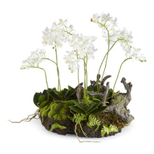 Load image into Gallery viewer, MINI DENDROBIUM WITH RUSTIC DROP-IN 16"