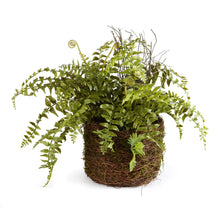 Load image into Gallery viewer, BOSTON FERN RUSTIC DROP-IN 12"