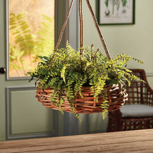 Load image into Gallery viewer, BOSTON FERN RUSTIC DROP-IN 12"