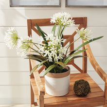 Load image into Gallery viewer, AGAPANTHUS DROP-IN 29"