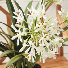 Load image into Gallery viewer, AGAPANTHUS DROP-IN 29"