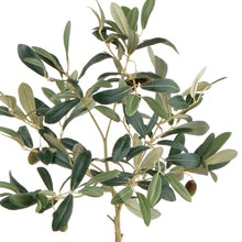 Load image into Gallery viewer, OLIVE TREE WITH FRUIT IN POT 19.5"