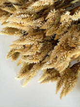 Load image into Gallery viewer, Dried Celosia White Spike