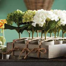 Load image into Gallery viewer, MINI HYDRANGEA POTTED 7", SET OF 12