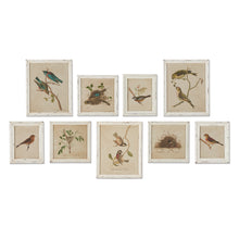 Load image into Gallery viewer, Framed Aviary Bird & Nest Habitat Prints, Set of 9
