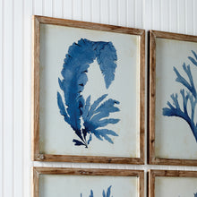 Load image into Gallery viewer, Framed Coral Watercolor Prints, Set of 4