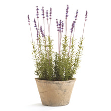 Load image into Gallery viewer, FRENCH LAVENDER POTTED 21"