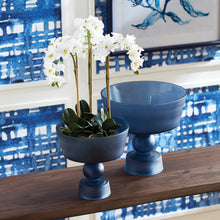 Load image into Gallery viewer, PHALAENOPSIS ORCHID MINI GARDEN DROP-IN 16"